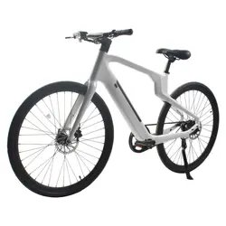 Carbon Fiber Super Light Electric Bicycle Fast Speed Cheap PrIce Electric City Bike 36V 250W 350W With 10Ah Battery Ebike