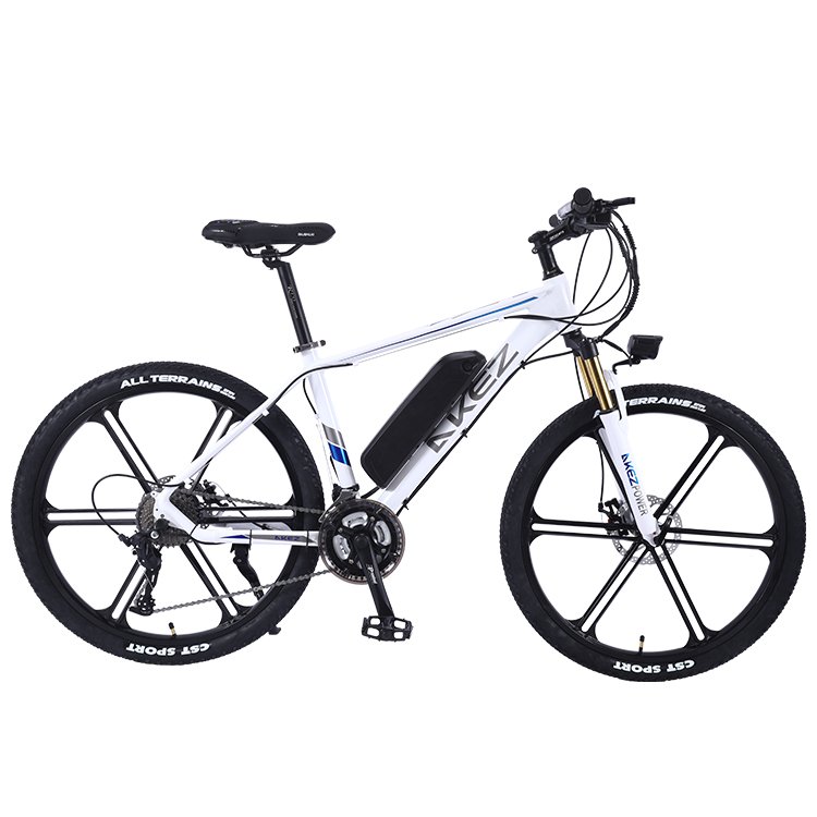 Factory Direct Sale New Design Cheap Aluminum Alloy Frame Electric Mountain Bike From China 36V 350W E-bike for Adult