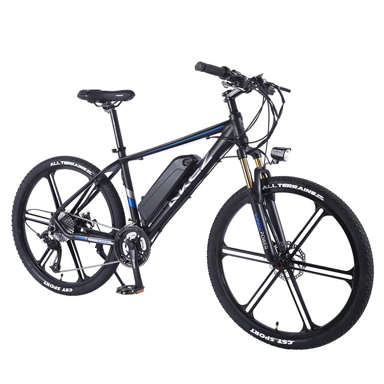 Factory Direct Sale New Design Cheap Aluminum Alloy Frame Electric Mountain Bike From China 36V 350W E-bike for Adult