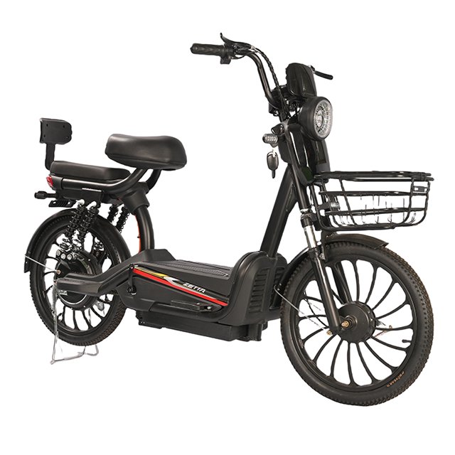 New style 20 inch Big Tyre Electric Bike Electrical Bicycle Adult Electric Motorcycle