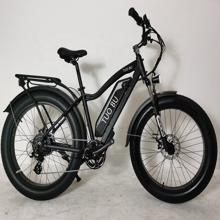 750w 1000w motor e-bike aluminum alloy frame mountain e bike