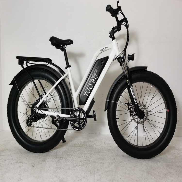 750w 1000w motor e-bike aluminum alloy frame mountain e bike