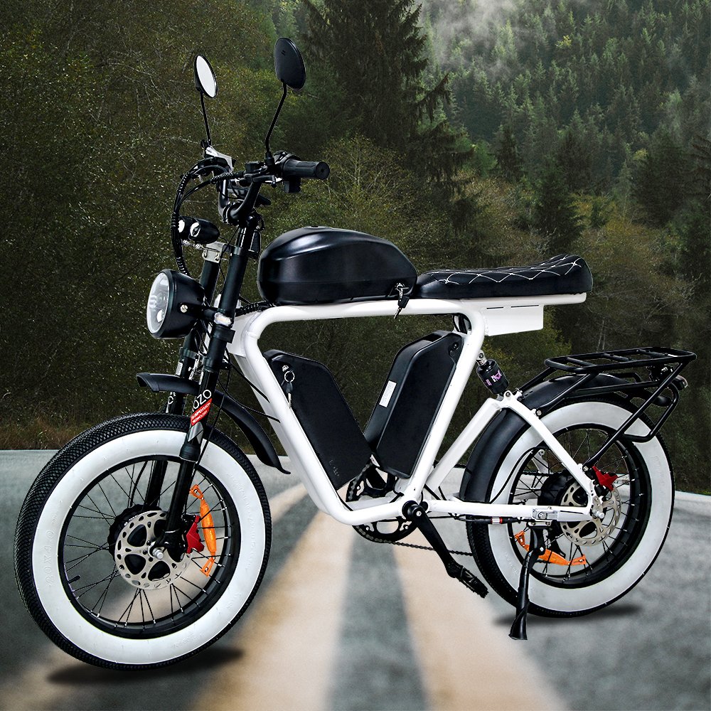 20 Wheel Size Electric Mountain Bike 1000W Single motor 70 km pure battery mileage E-bike for Adult 7 Speed Electric City Bike