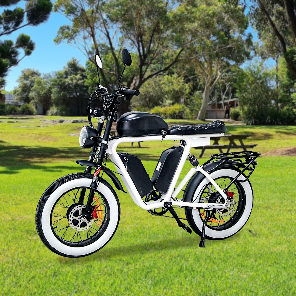 20 Wheel Size Electric Mountain Bike 1000W Single motor 70 km pure battery mileage E-bike for Adult 7 Speed Electric City Bike