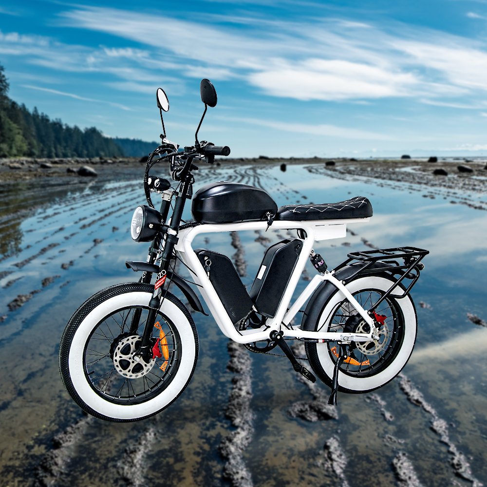 20 Wheel Size Electric Mountain Bike 1000W Single motor 70 km pure battery mileage E-bike for Adult 7 Speed Electric City Bike