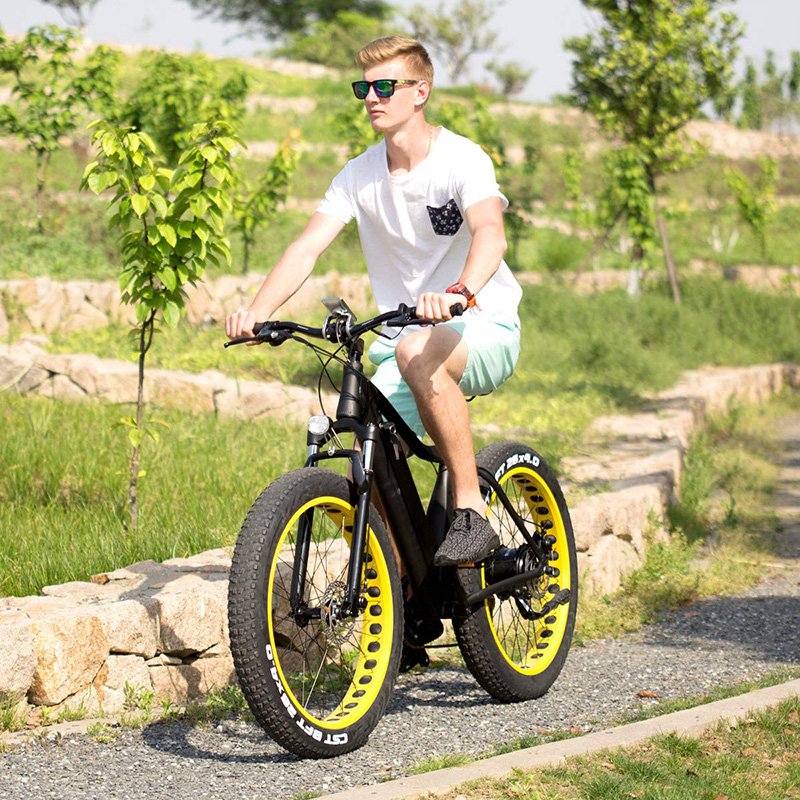 VTUVIA SJ26 250W 750W 36V 48V Electric Fat Bike bicycle mountain MTB with 48v 1000w 750w 500 watt rear hub motor for man