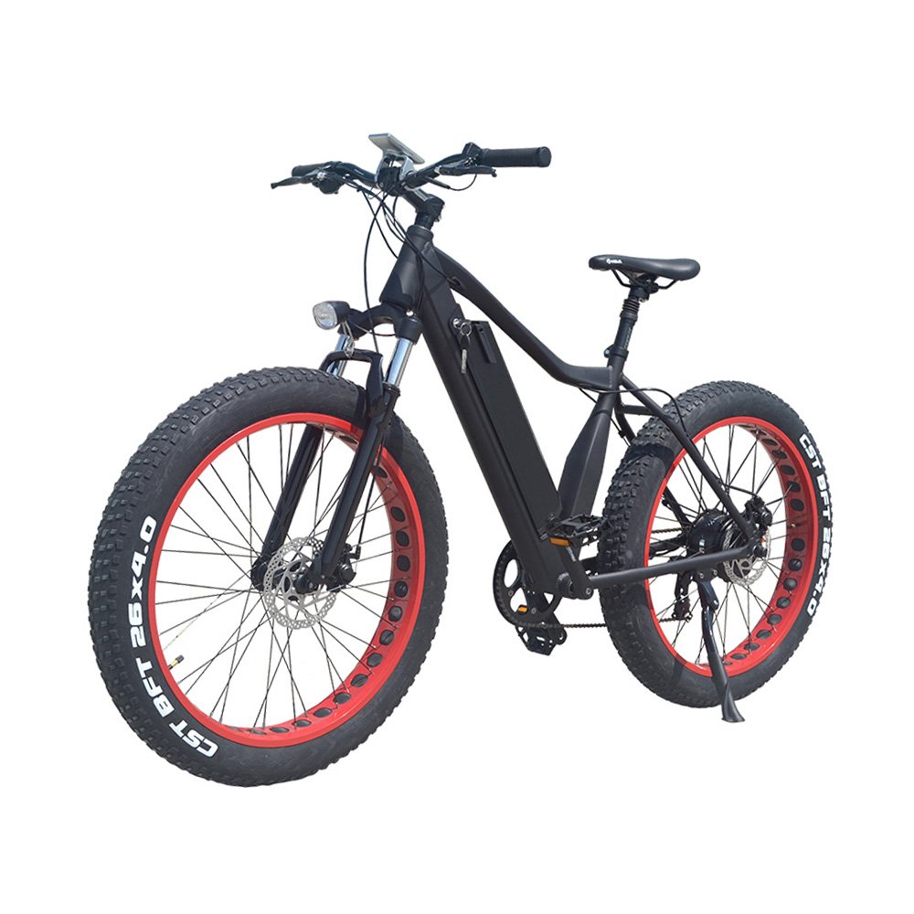 VTUVIA SJ26 250W 750W 36V 48V Electric Fat Bike bicycle mountain MTB with 48v 1000w 750w 500 watt rear hub motor for man