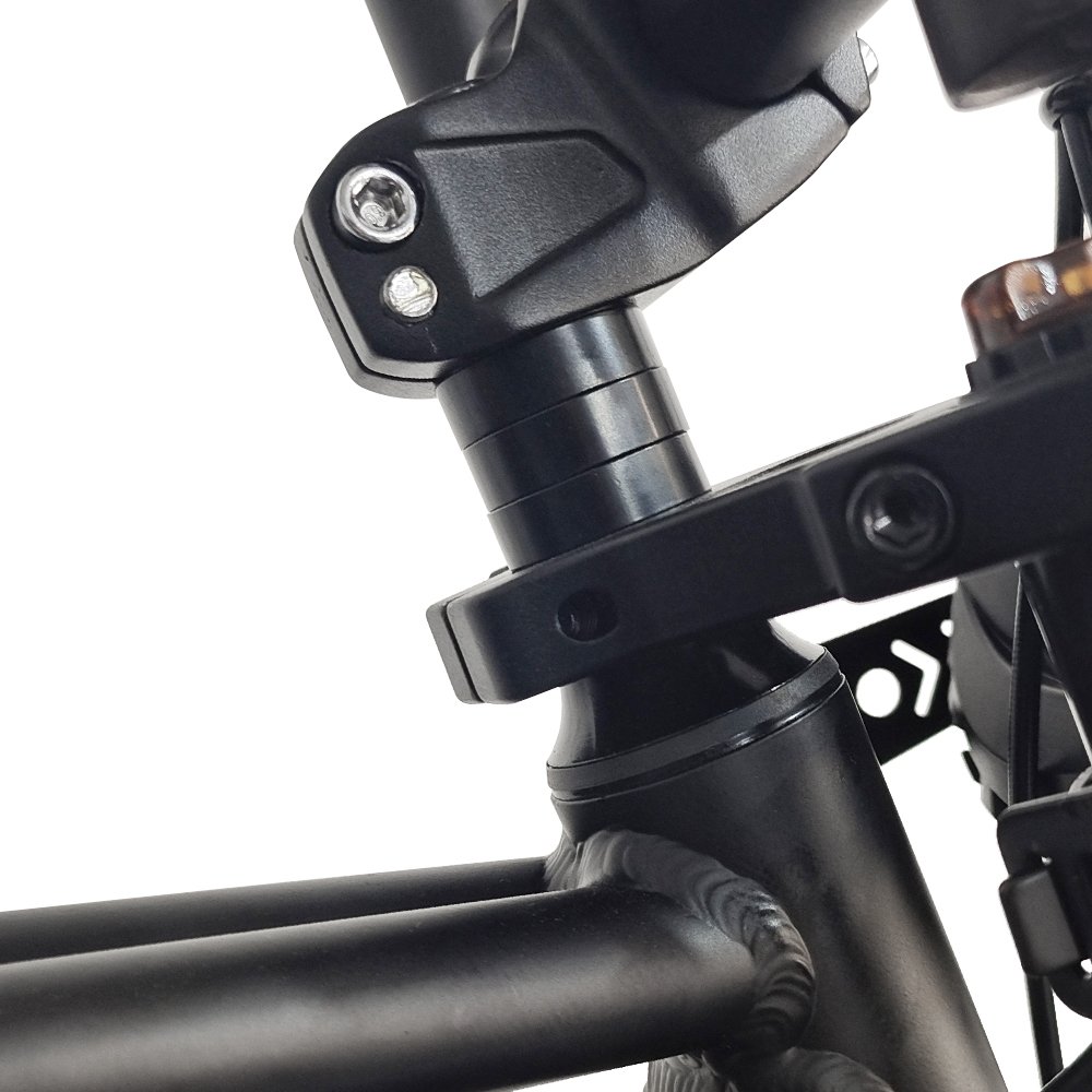T6 Aluminum Alloy Frame 20 Inch Fat Tire Electric Bike Bicycle Mountain MTB Ebike Hybrid Bike 250W ebike