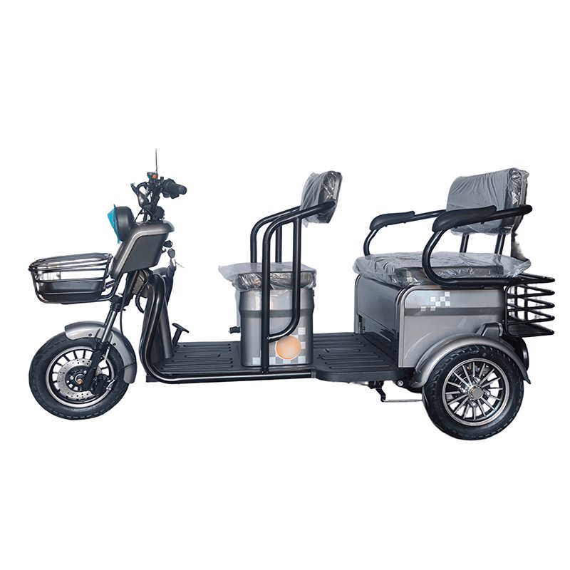 3 wheel electric bike 2 seater cargo taxi scooter electric city bike wide tires 3 wheel electric bike for passenger
