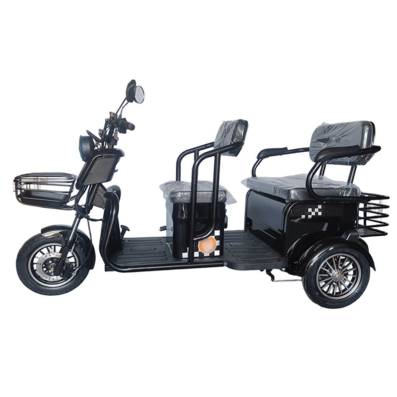 3 wheel electric bike 2 seater cargo taxi scooter electric city bike wide tires 3 wheel electric bike for passenger