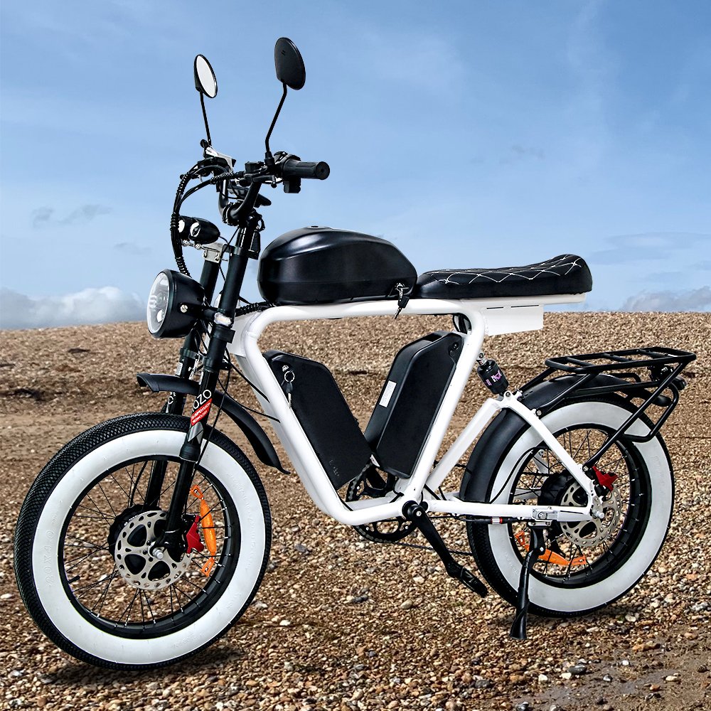 Hot sell 1000w e bike battery 48v 22ah mountain bikes for adults 20 fat tire high quality stealth bomber electric Bike