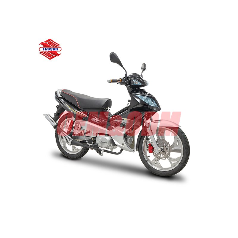 Popular Promotional Motorcycle Gasoline Cruiser Motorcycle Motocicleta De Gasolina Motorized Motorcycle
