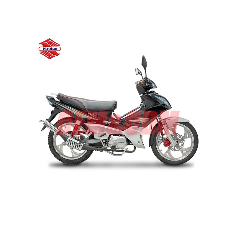 Popular Promotional Motorcycle Gasoline Cruiser Motorcycle Motocicleta De Gasolina Motorized Motorcycle