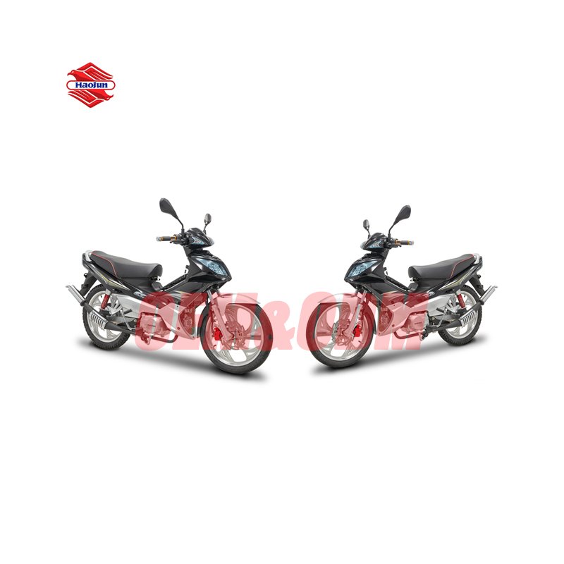 Popular Promotional Motorcycle Gasoline Cruiser Motorcycle Motocicleta De Gasolina Motorized Motorcycle
