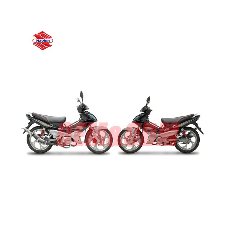 Popular Promotional Motorcycle Gasoline Cruiser Motorcycle Motocicleta De Gasolina Motorized Motorcycle