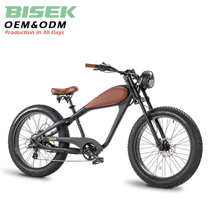 OEM Big power 26 inch mountain city Vintage electric mountain bike mid drive motor electric bike 28 inch city ebike