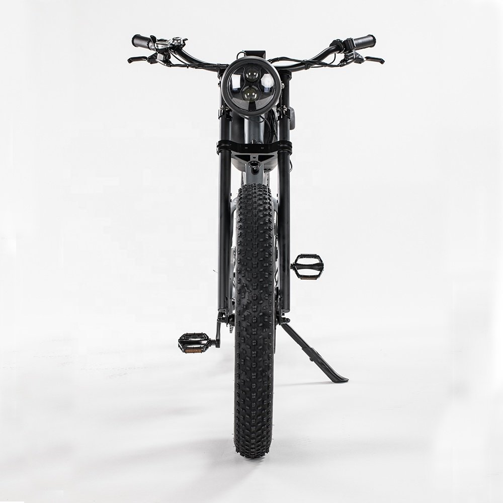 OEM Big power 26 inch mountain city Vintage electric mountain bike mid drive motor electric bike 28 inch city ebike