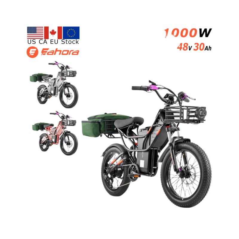 Eahora Cupid FOB China Electric Bike 1000W Electric City Bicycle 48V 30Ah Fat Tire Electric Mountain Bike electric cargo bike