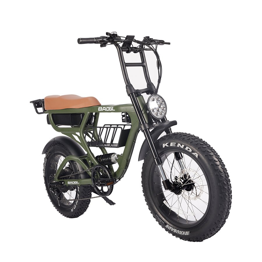 China Factory Oem Electric Bike 250W 1000W Fatbike Electric Mountain Bike