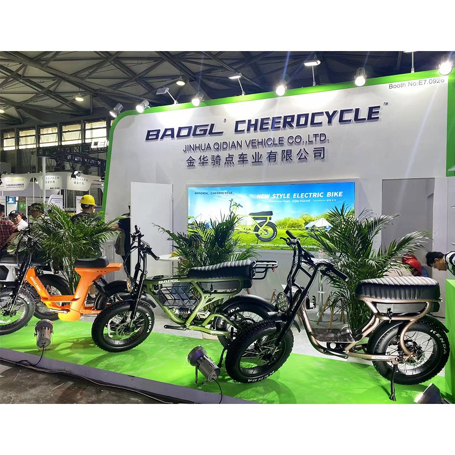 China Factory Oem Electric Bike 250W 1000W Fatbike Electric Mountain Bike
