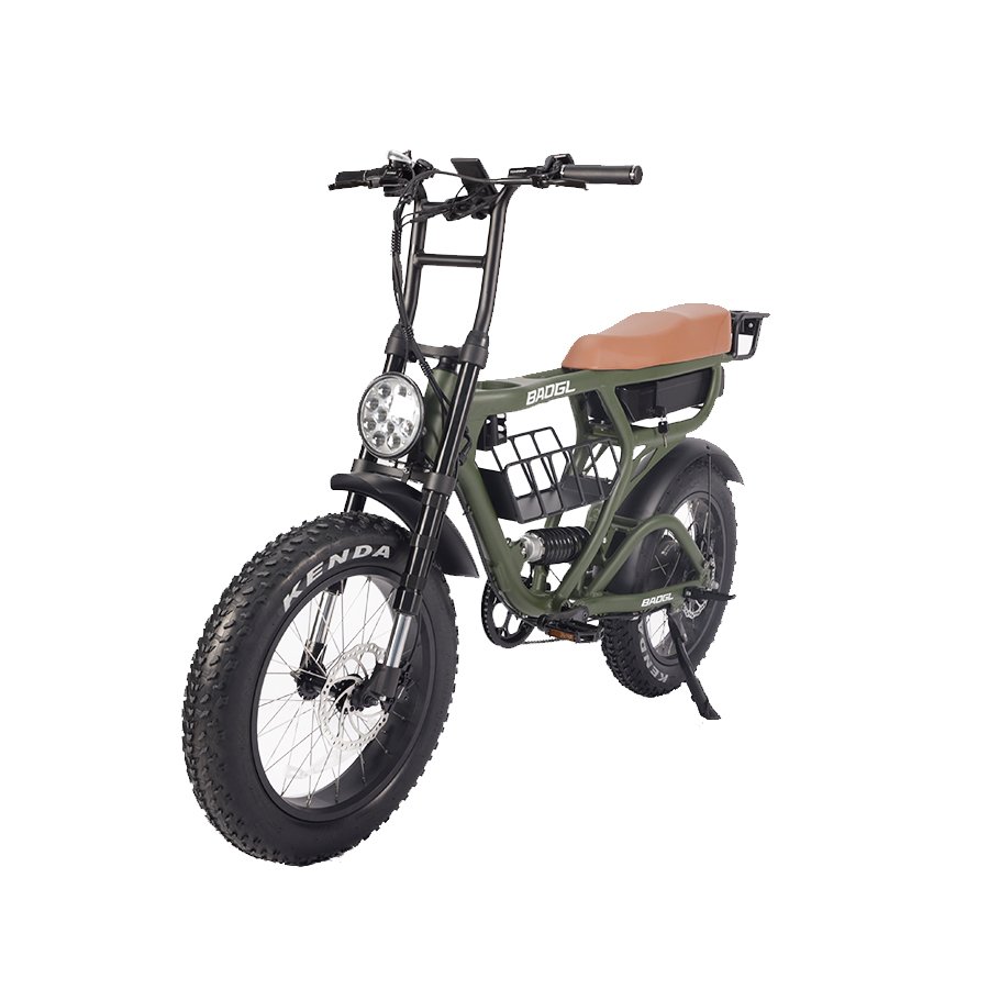 China Factory Oem Electric Bike 250W 1000W Fatbike Electric Mountain Bike