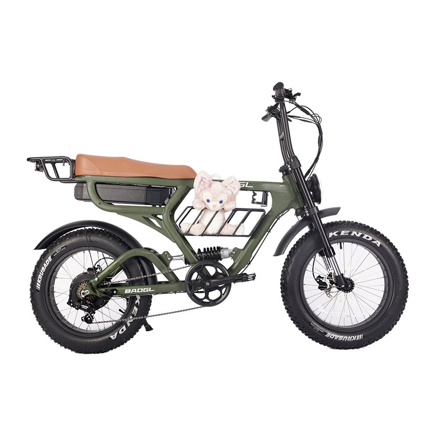 China Factory Oem Electric Bike 250W 1000W Fatbike Electric Mountain Bike