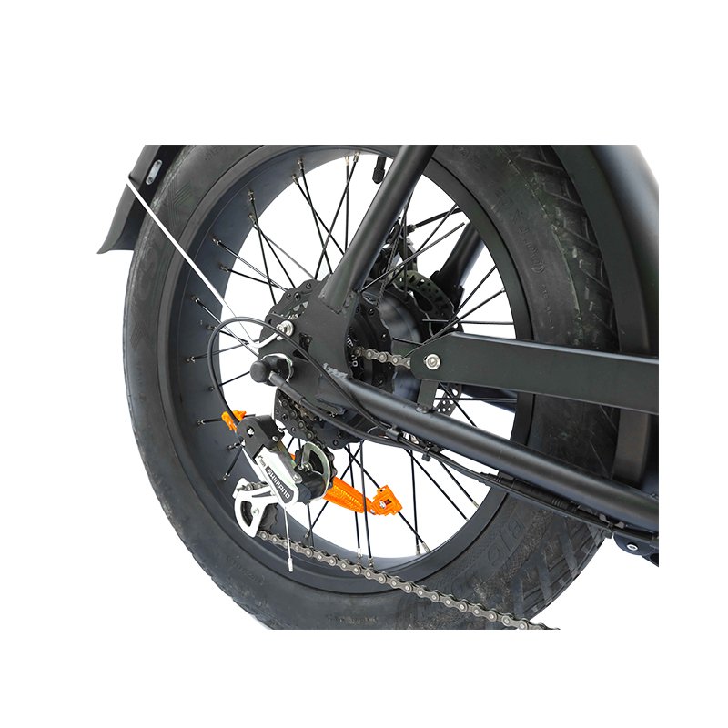 Factory Customized Electric Mountain Bike 48V 10Ah Beach Bike Lithium Battery Cheap Electric Bicycle