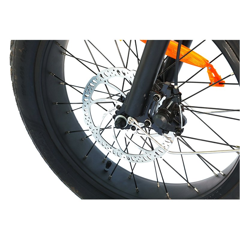 Factory Customized Electric Mountain Bike 48V 10Ah Beach Bike Lithium Battery Cheap Electric Bicycle