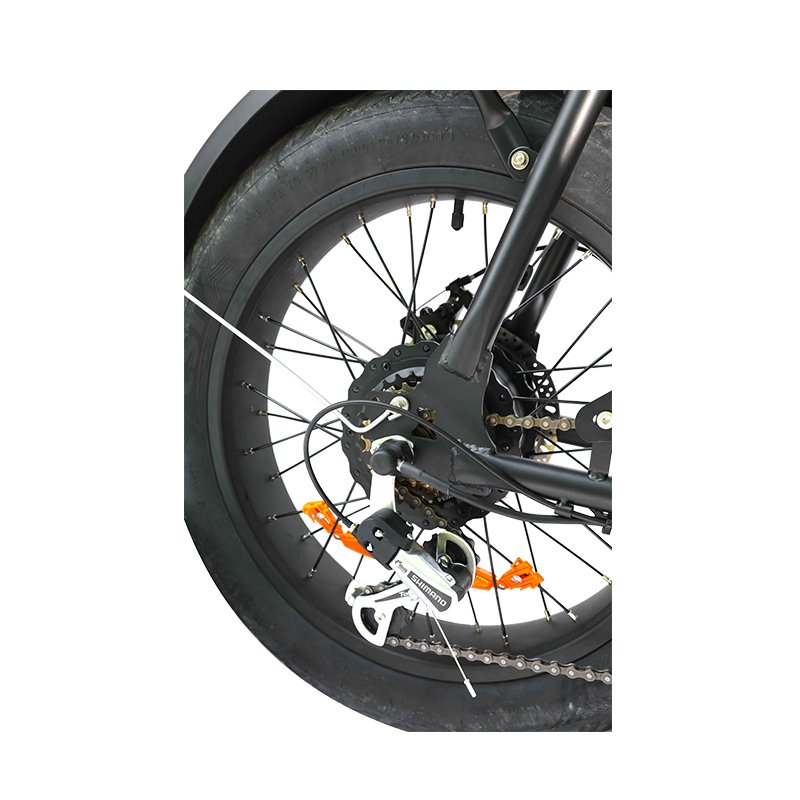 Factory Customized Electric Mountain Bike 48V 10Ah Beach Bike Lithium Battery Cheap Electric Bicycle