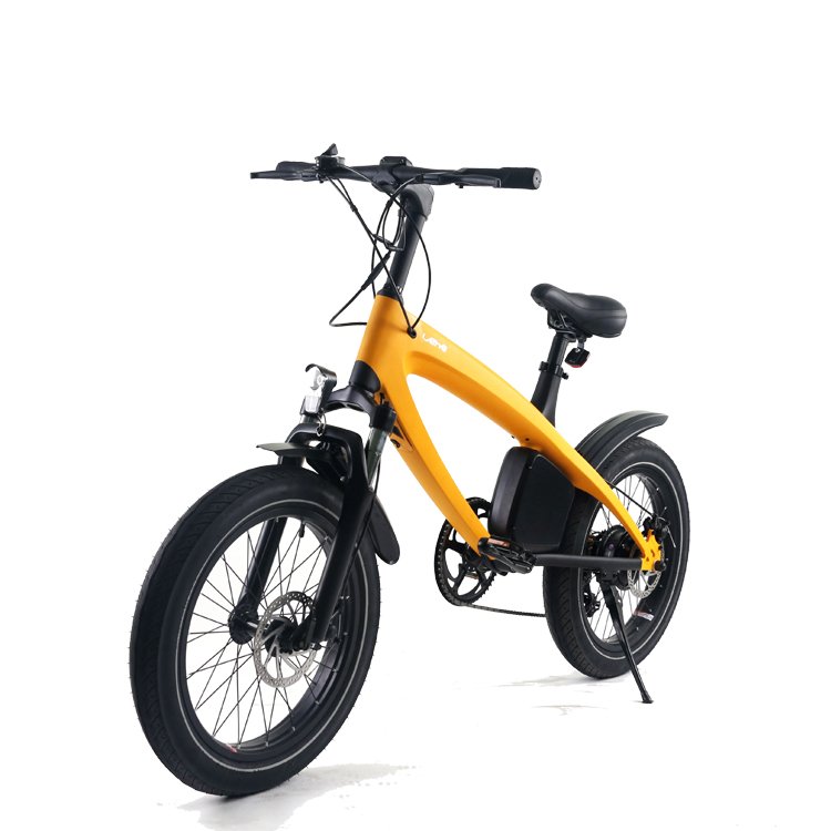 NEW LEHE S2 hybrid battery power motor mountain dirt fat electric ebike