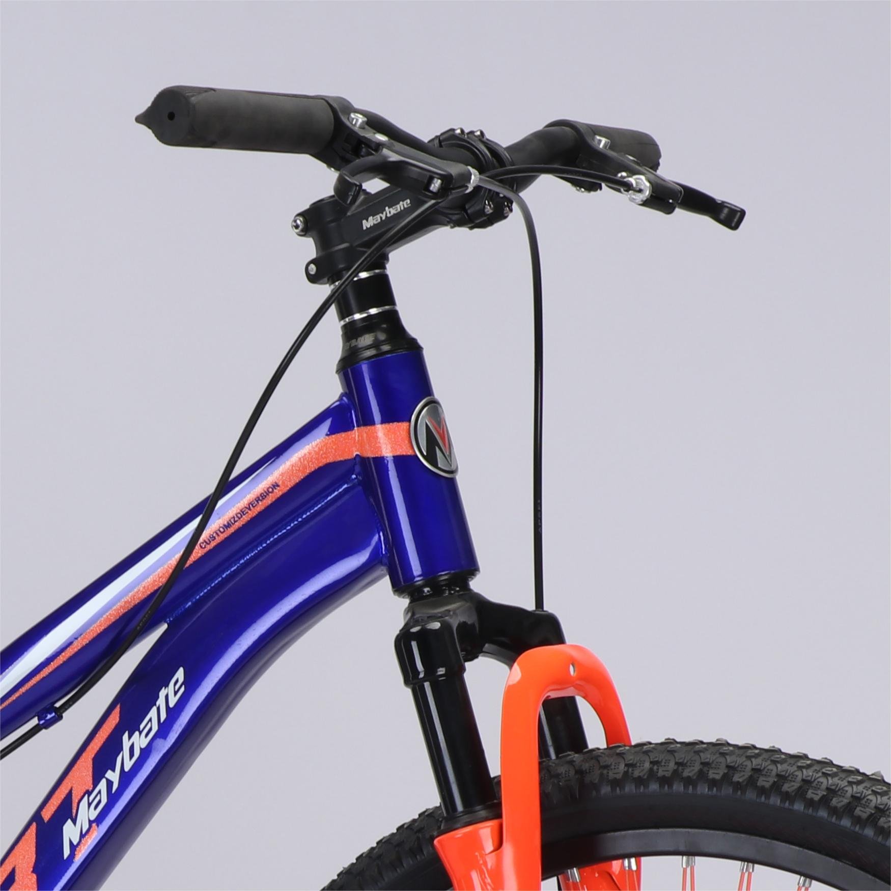 Factory Direct High Configuration Mountain Bike Adult Mountain Bike with Steel Frame Disc Brake Ordinary Pedal Mountain Bike