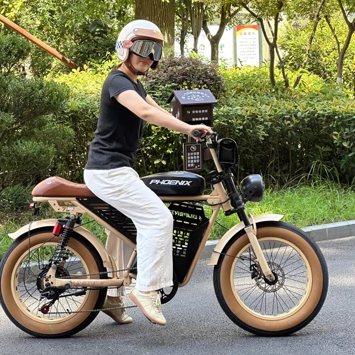 EU US UK Warehouse 48V 30AH 35AH 52AH 200Km 20 Inch Fat Tire Adult Electric Mountain Bike City Road Double Electric Bike