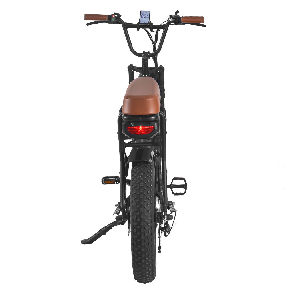 Drop Shipping 750W 1000W E-bike Fat Tire Off Road Electric Mountain Bike for Adult Vintage Electric Bicycle
