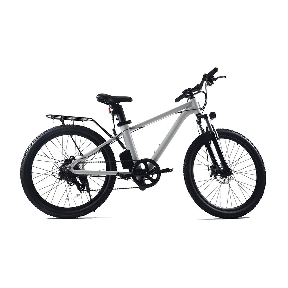 New Hot Selling Products adult electric cycle e bike high quality electrical bicycle 250w