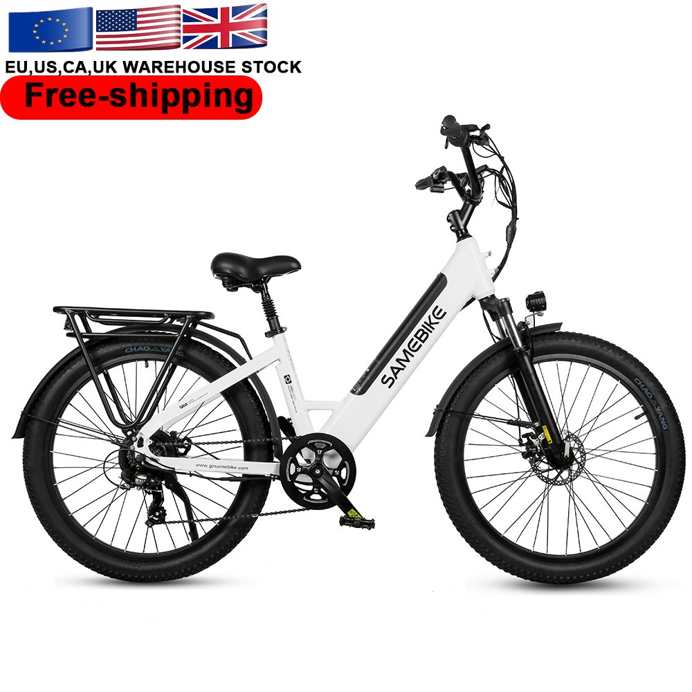 RS-A01 Aluminum Alloy 750w 48v 18650 cells battery moped style men adult electric city e bike