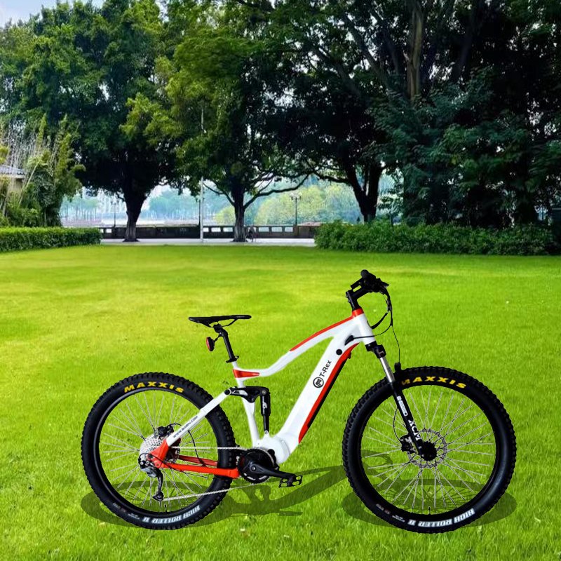 29inch electric mountain bike M620 G510 bafang 1000w mid drive 48v 17.5ahelectric mountain bike
