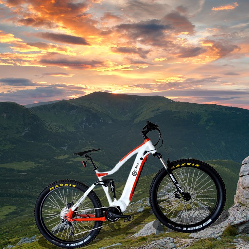 29inch electric mountain bike M620 G510 bafang 1000w mid drive 48v 17.5ahelectric mountain bike