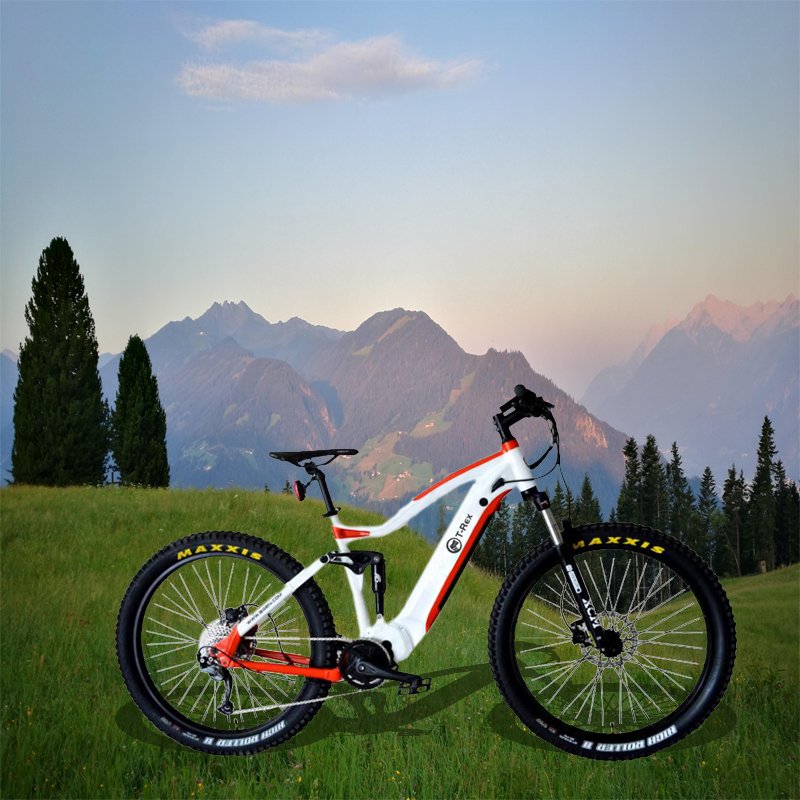 29inch electric mountain bike M620 G510 bafang 1000w mid drive 48v 17.5ahelectric mountain bike