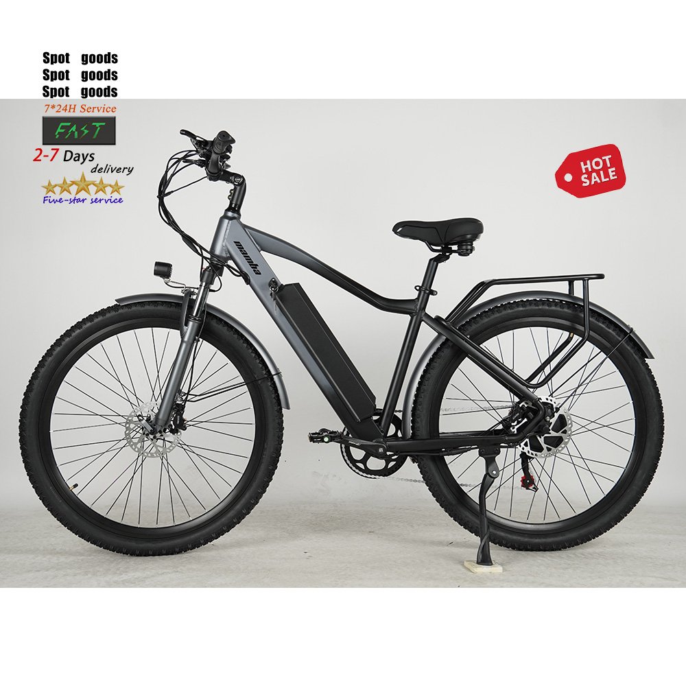 F26 electric city bike Electr city Bicycle price E-bike 250w 26inch ebike 250W Motor Battery Electric mountain bike