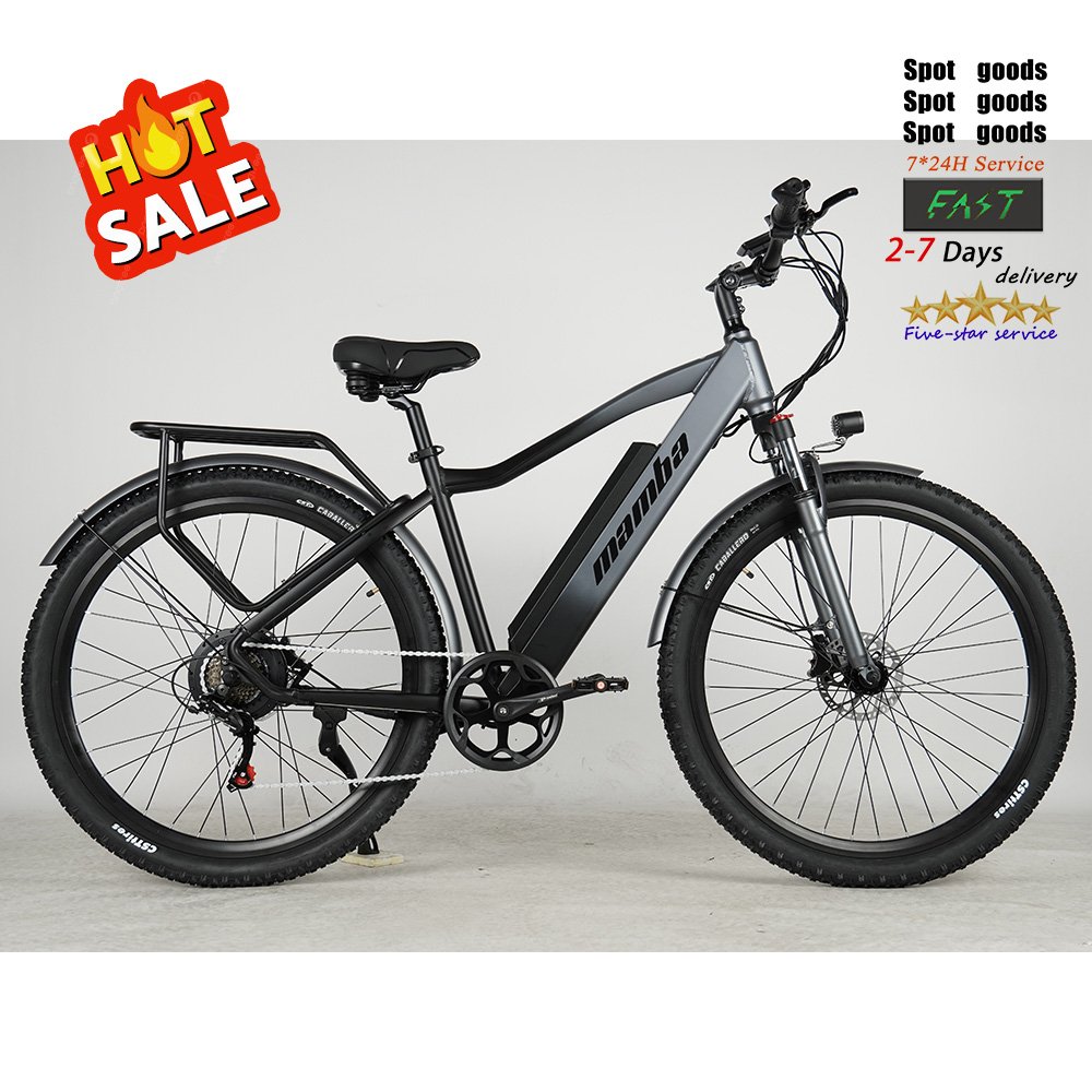 F26 electric city bike Electr city Bicycle price E-bike 250w 26inch ebike 250W Motor Battery Electric mountain bike