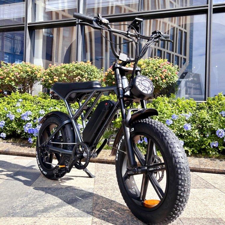 H9 1000W Electric Mountain Bike 20-Inch Fat Tire 250W Bicycle 25km/h 48V EU USA Warehouse OUXI V8 for Adults