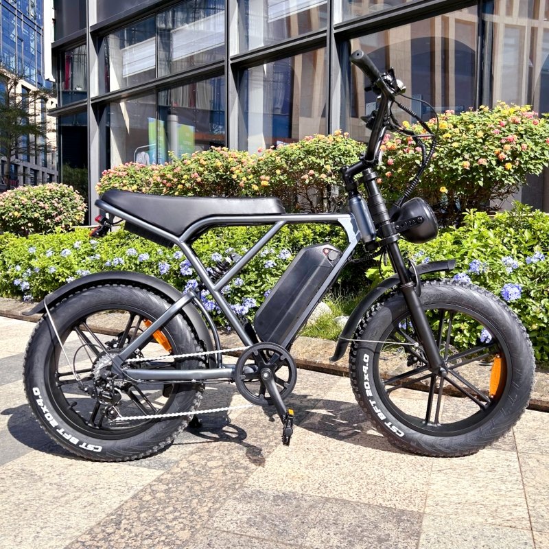 H9 1000W Electric Mountain Bike 20-Inch Fat Tire 250W Bicycle 25km/h 48V EU USA Warehouse OUXI V8 for Adults