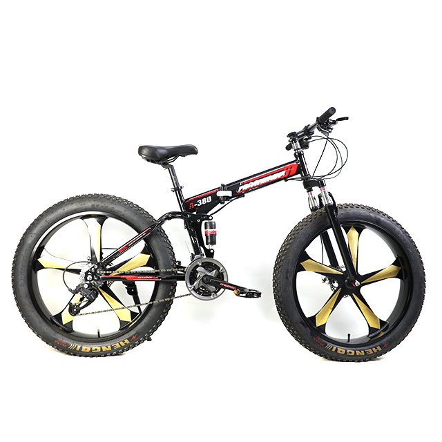 Top Sale Fashion Style 26*4.0 Fat Tire Fat Bike