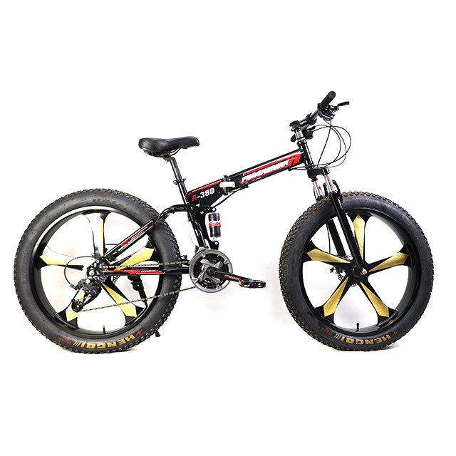 Top Sale Fashion Style 26*4.0 Fat Tire Fat Bike