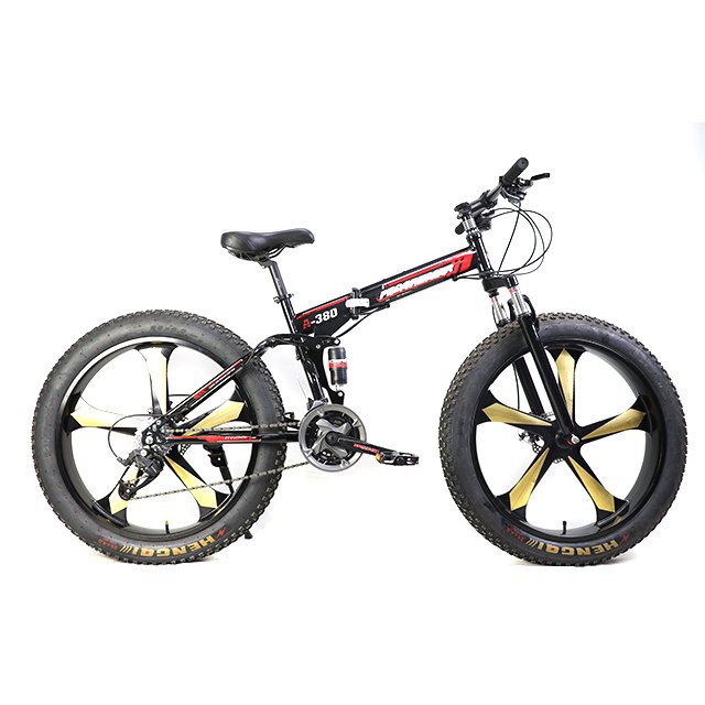 Top Sale Fashion Style 26*4.0 Fat Tire Fat Bike