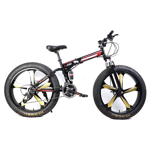 Top Sale Fashion Style 26*4.0 Fat Tire Fat Bike