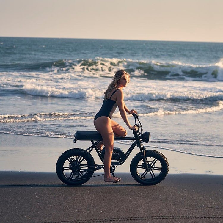 48V 750W 1000W Power China Cheap Full Suspension Retro Vintage E Bike Ebike Dirt Mountain Fat Tire Bicycle Electric Bike