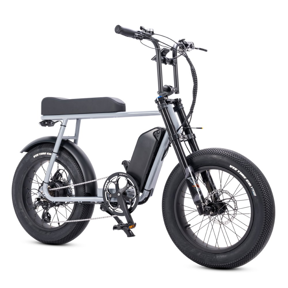 China Factory Long Range Electric Bike 250W Fatbike Electrical E Bike Fat Tire 25km/h Retro MIni Bicycle Electric Mountain Bike