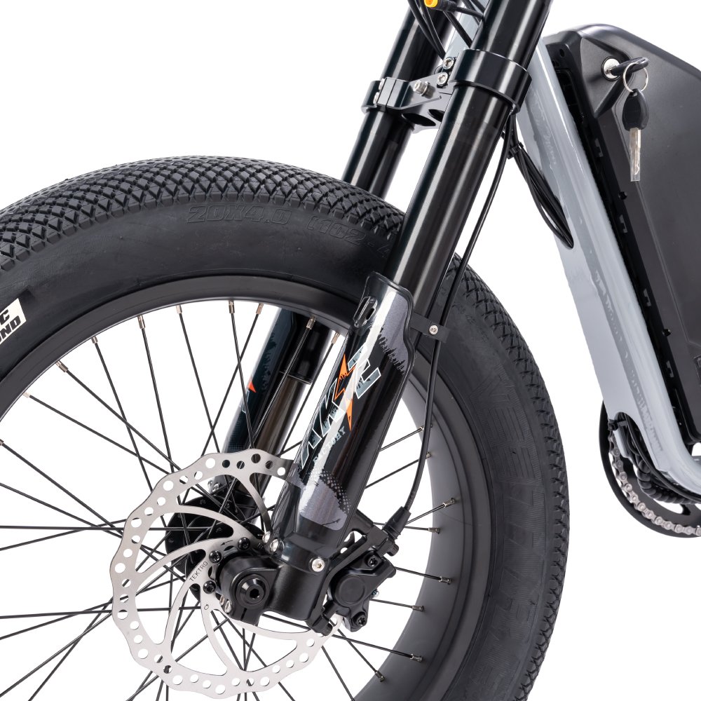 China Factory Long Range Electric Bike 250W Fatbike Electrical E Bike Fat Tire 25km/h Retro MIni Bicycle Electric Mountain Bike