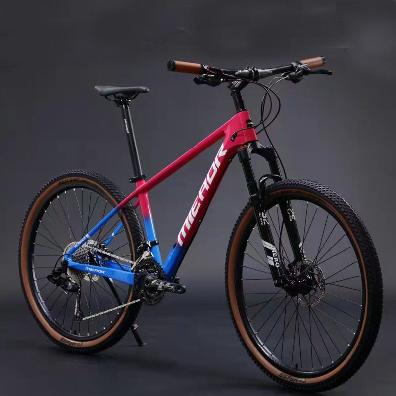 In cheapest 21 speed china cycle for men with gear and disk brake 21 gear mountain bike Cycle for man